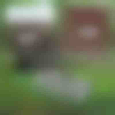 Herramienta multifuncional de jardinería para el mantenimiento del suelo | PRONGSPRO