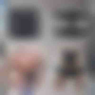 Entrenador de abdominales – Quema grasa sin esfuerzo | SIXPACK