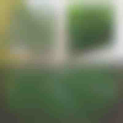 Valla decorativa y práctica para terraza y jardín | GREENFENCE