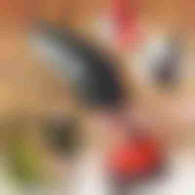 Sierra de mano eléctrica BRENCHIE